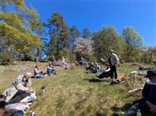 Ljusfall